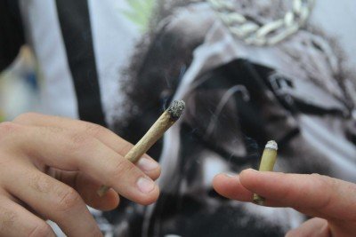 Maconha está entre as drogas passíveis de multa em BH -  (crédito: Gladyston Rodrigues/EM/DA. Press)