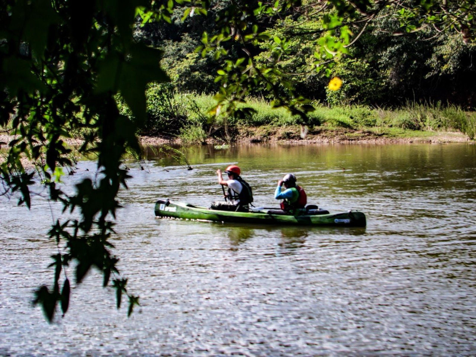 O trecho onde passa a Expedi&ccedil;&atilde;o Rio Par&aacute; Vivo 2026 voltou a ter press&atilde;o de desmatamento da mata, em Matinho Campos