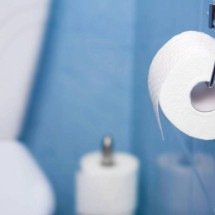 Por que o papel higiênico é branco? A ciência da celulose, higiene e branqueamento industrial - Portal Giro 10