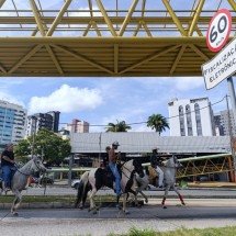 Comitiva a cavalo chama atenção em avenida movimentada de BH - Alexandre Guzanshe/EM/D.A Press