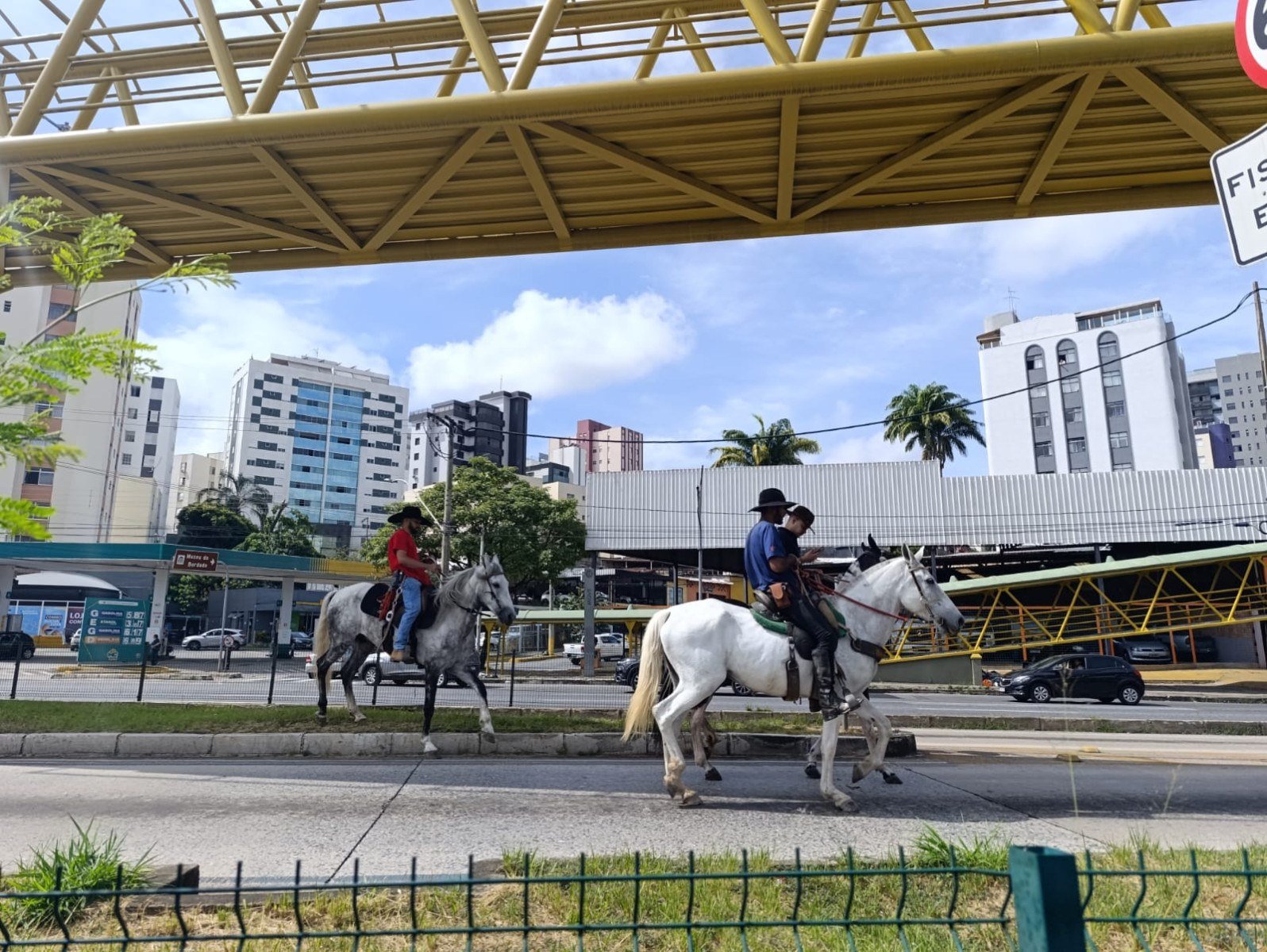 A comitiva cruzou a pista e lembrou a quem passava que, por mais metrópole que Belo Horizonte seja, as raízes mineiras guardam um jeito muito próprio de ser-Alexandre Guzanshe/EM/D.A.Press