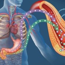 A engenharia da liberdade: o pâncreas artificial e a nova era do diabetes - Portal Giro 10