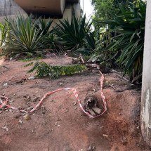 ‘Nunca imaginei que ele faria isso’: morte de casal choca moradores de BH - Edésio Ferreira/EM/D.A.Press