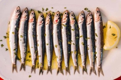 O principal nutriente das sardinhas são os ácidos graxos ômega-3, fundamentais para o funcionamento do cérebro e do coração -  (crédito: Getty Images)