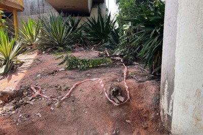 Testemunha relatou à polícia o momento exato de feminicídio que aconteceu debaixo do Viaduto Murilo Rubião -  (crédito: Edésio Ferreira/EM/D.A.Press)