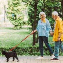 Por que caminhar melhora a criatividade? Ciência explica como andar ativa áreas cerebrais dos insights - Portal Giro 10