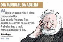 Dia Mundial da Abelha