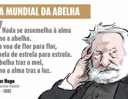 Dia Mundial da Abelha -  (crédito: Quinho)
