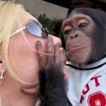 Virginia nega provocação racista a Vini Jr. por vídeo beijando macaco - Tupi