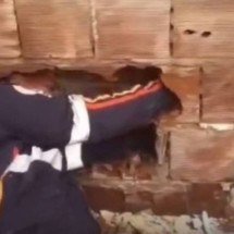 Bebê é encontrado abandonado entre muros de casas na Paraíba - Redes sociais