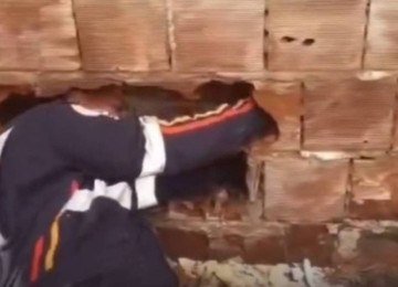 Socorrista retira bebê de vão de muro na Paraíba -  (crédito: Redes sociais)