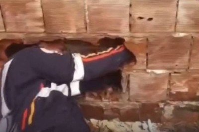 Socorrista retira bebê de vão de muro na Paraíba -  (crédito: Redes sociais)