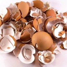 O que fazer com cascas de ovo: formas práticas de reaproveitar o resíduo na jardinagem e no cotidiano - Portal Giro 10