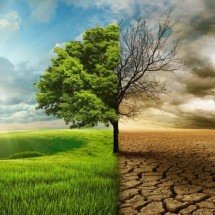 Desertificação avança em diferentes regiões do planeta e preocupa especialistas pelos impactos sobre água, agricultura e população - Portal Giro 10