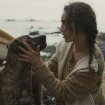 Cadela de filme estrelado por Selton Mello vence Palm Dog em Cannes - Divulga&ccedil;&atilde;o/RT Features