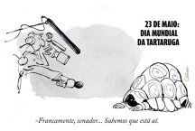 Dia Mundial da Tartaruga