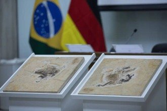 Brasil exige de volta tesouros raros escondidos em 14 países