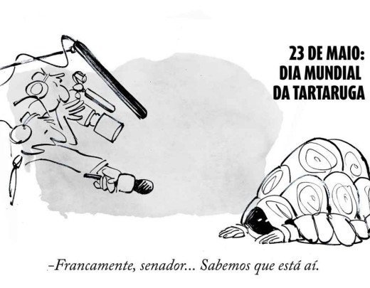 Dia Mundial da Tartaruga

 -  (crédito: Quinho)