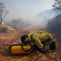 Brigadistas treinam táticas de sobrevivência na linha do fogo - Leandro Couri/EM/D.A. Press