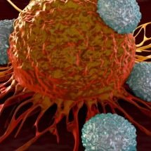 Cientistas filmam pela primeira vez células de defesa abrindo buracos reais em tumores para destruir o câncer - Portal Giro 10
