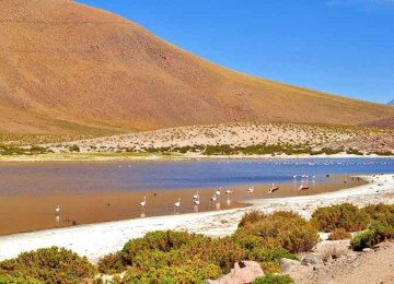 E encerrando o passeio está o Deserto do Atacama, o mais alto e seco do mundo. Paisagens espetaculares, com vulcões, salares, lagunas, formações rochosas e um céu estrelado incomparável. Os passeios em San Pedro de Atacama contemplam Vale da Lua e Vale da Morte, Piedras Rojas, entre outros clássicos. -  (crédito: Imagem de Julian Hacker por Pixabay)