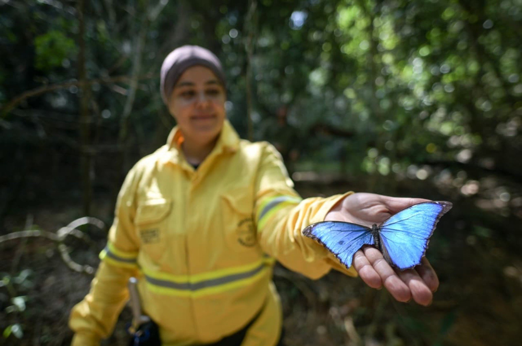 Entre técnicas de sobrevivência, preparo físico e resistência emocional, brigadistas voluntários da Serra do Cipó participaram de um treinamento em ambiente hostil para aprender a agir quando o resgate não chega. A reportagem do Estado de Minas acompanhou, por 30 horas, os desafios enfrentados por quem está na linha de frente do combate aos incêndios florestais.
