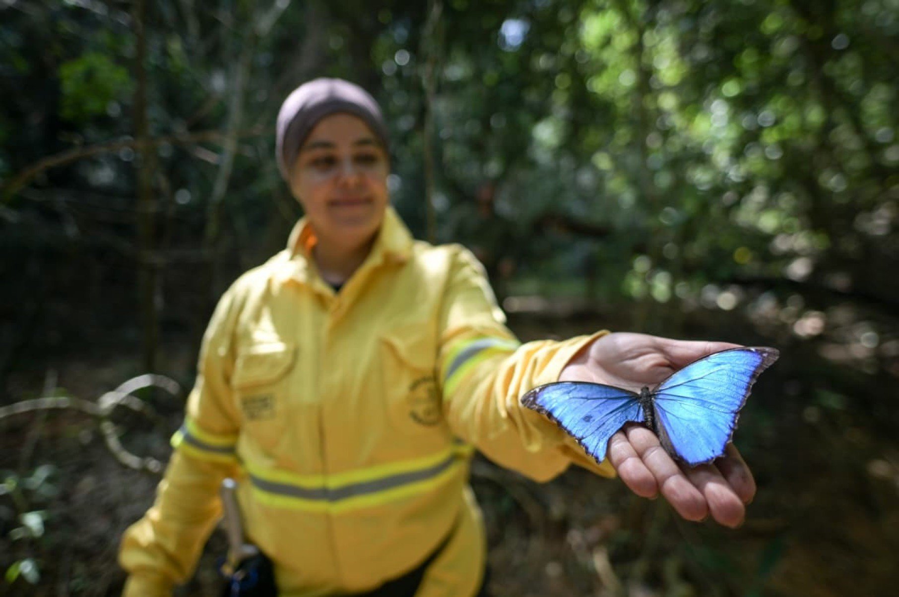 Entre técnicas de sobrevivência, preparo físico e resistência emocional, brigadistas voluntários da Serra do Cipó participaram de um treinamento em ambiente hostil para aprender a agir quando o resgate não chega. A reportagem do Estado de Minas acompanhou, por 30 horas, os desafios enfrentados por quem está na linha de frente do combate aos incêndios florestais.