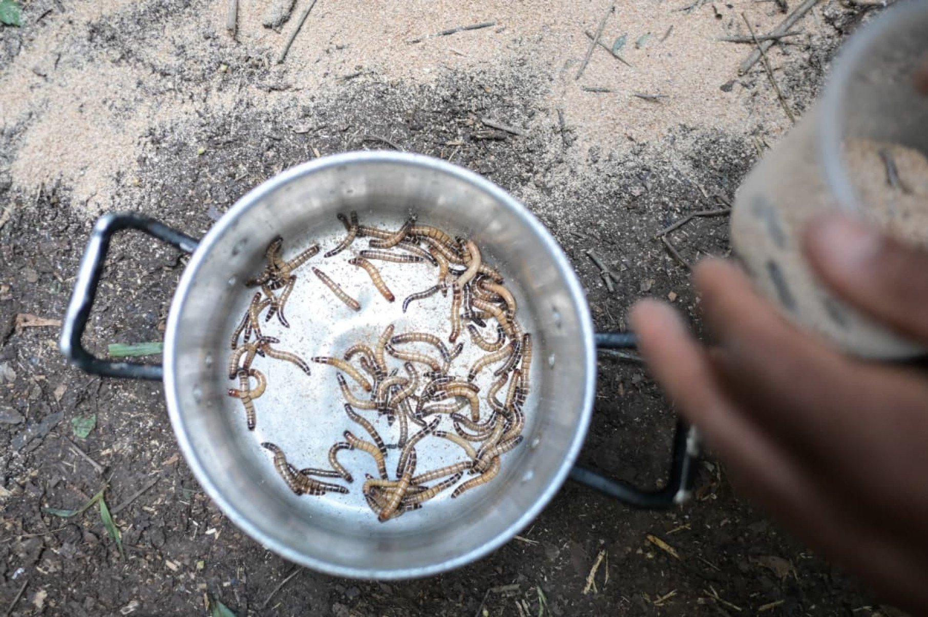 Entre técnicas de sobrevivência, preparo físico e resistência emocional, brigadistas voluntários da Serra do Cipó participaram de um treinamento em ambiente hostil para aprender a agir quando o resgate não chega. A reportagem do Estado de Minas acompanhou, por 30 horas, os desafios enfrentados por quem está na linha de frente do combate aos incêndios florestais.