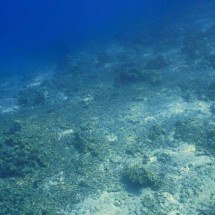 A energia do oceano: como ondas e marés podem transformar o futuro da eletricidade - Portal Giro 10