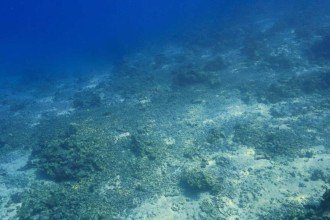 A energia do oceano: como ondas e marés podem transformar o futuro da eletricidade