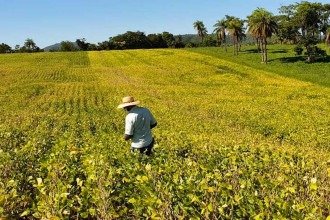 Governo estuda criar fundo garantidor para dívidas rurais