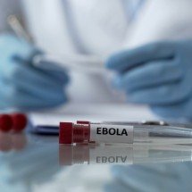 OMS declara emergência internacional por surto de ebola -  Getty Images