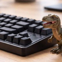 Sistemas de RH feitos para CLT não cobrem gestão de PJ - DINO