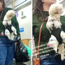 Mulher é flagrada levando galinha de bota, fralda e chupeta no metrô  - TikTok