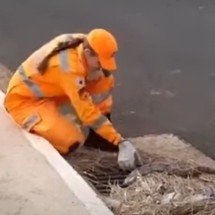 Jiboia de 1,20 metro é resgatada presa em boca de lobo em MG - Reprodução/CBMMG