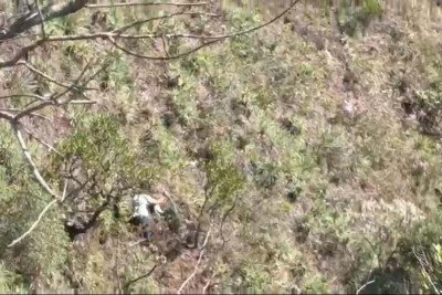 Mulher foi resgatada em cima de uma árvore na Serra do Rola-Moça -  (crédito: PMMG/Divulgação)