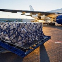 Mercado de importação aérea cresce na região de Manaus
 - DINO
