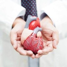 Insuficiência cardíaca: os sintomas que podem indicar que o coração não está funcionando corretamente - Portal Giro 10