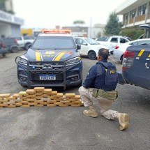 Motorista é preso na BR-040 com cocaína avaliada em R$ 6 milhões - PRF/Divulgação