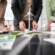 Mercado de carbono expõe limites da compensação - DINO