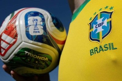 Depois de acertar todos os resultados da Alemanha na Copa do Mundo de 2010, o polvo Paul ainda previu a vitória da Espanha sobre a Holanda, na final do torneio realizado na África do Sul -  (crédito: AFP via Getty Images)