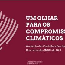 LACLIMA lança relatório sobre metas do G20 rumo a 2035 - DINO