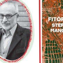 Primeira leitura: 'Fitópolis', de Stefano Mancuso  - Ubu editora/Reprodução