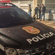 Polícia prende suspeita de torturar e matar animais e vender vídeos na web - Reprodução/Polícia Civil