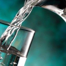 Alerta global sobre Naegleria fowleri cresce com o aquecimento das águas doces e risco raro - Portal Giro 10