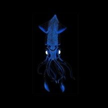 Iluminação viva nas cidades: como microalgas e organismos bioluminescentes podem mudar a energia urbana e o clima do planeta - Portal Giro 10