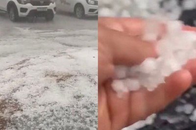 A força do vento derrubou árvores em diferentes pontos da cidade -  (crédito: Reprodução/Redes Sociais)