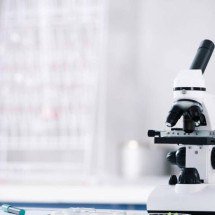 Genes da regeneração em humanos? O que a ciência realmente sabe sobre reconstrução de membros e medicina do futuro - Portal Giro 10