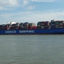 Supply chain 2026 reforça rotas globais ágeis - DINO