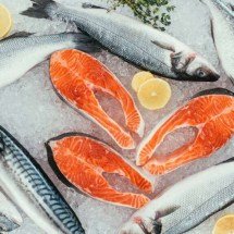 Você sabia? A cor do salmão vem da comida – e a ciência explica por que isso não é truque nem fraude na aquicultura - Portal Giro 10